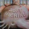 Download track The Soft Weed Factor