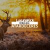Download track Amaneceres