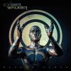 Download track Fallen Leaf