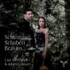 Download track Sonate 'Arpeggione' En La Mineur D. 821 - II. Adagio