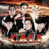 Download track Entregate