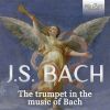 Download track Man Singet Mit Freuden Vom Sieg, BWV 149: I. Coro. Man Singet Mit Freuden Vom Sieg