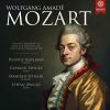 Download track Duo For Violin And Viola In G Major K. 423: I. Allegro