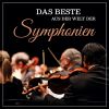 Download track Symphonie Fantastique, II. Valse. Allegro Ma Non Troppo (Original Mix)