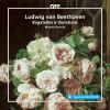 Download track Bagatelles, Op. 119: No. 3 In D Major