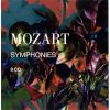 Download track 10 - Symphony No 34 C Major II Andante Di Molto