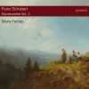 Download track Piano Sonata No. 4 In A Minor, Op. Posth. 164, D. 537: III. Allegro Vivace