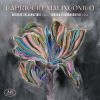 Download track Schnittke: A Paganini'