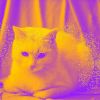Download track Smart Moods For Home With Cats