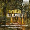 Download track Serenade For Strings In E Major, Op. 22: V. Finale. Allegro Vivace