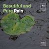 Download track Fast-Paced Rain