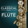 Download track Pavane Pour Une Infante Défunte, M. 19 Pavane For A Dead Princess