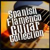 Download track Lagrima Prelude Tarrega