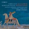 Download track Kullervo, Op. 7 I. Introduction Allegro Moderato