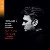 Download track 05. Symphony No. 40 In G Minor, K. 550 - I. Molto Allegro