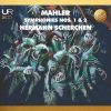 Download track Symphony No. 2 - 'Resurrection'- II. Andante Moderato