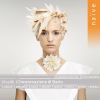 Download track 03. L’incoronazione Di Dario RV 719, Act I, Scene 2 - Che Vidi, Oimè! (Statira, Argene, Niceno)