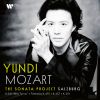 Download track Piano Sonata No. 11 In A Major, K. 331 Alla Turca I. (A) Tema Con Variazoni'
