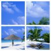 Download track Wind Of Freedom