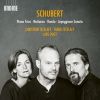 Download track 1. Piano Trio No. 1 In B Flat Major D898 - I. Allegro Moderato