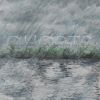 Download track Rain Shadow