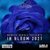 Download track Not Afraid To Fall Markus Schulz Escape Mix