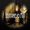 Download track Eu Quero É Festa