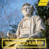 Download track Moments Musicaux, Op. 94, D. 780: No. 4 In C-Sharp Minor. Moderato