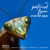 Download track A Postcard From Nowhere