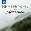 Download track String Quartet No. 16 In F Major, Op. 135: III. Assai Lento, Cantante E Tranquillo
