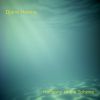 Download track Light Through The Trees
