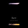 Download track Burnt