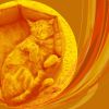 Download track Smooth Moods For Cute Kitten