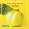 Download track 5. Trio In D Minor - TWV 42: D4 - Largo