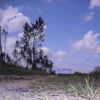 Download track PARABOLA