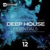 Download track Disappear (Original Mix)