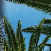 Download track Mood (Felix Cartal's Late Night Mood Mix)