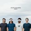 Download track Flesh For Fun