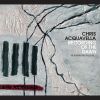 Download track Snow Falling One Spring Morning
