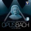 Download track Ach, Was Soll Ich Sünder Machen, BWV 770: Partita VIi'