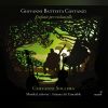 Download track Sinfonia In D Major For Cello & Basso Continuo II. Allegro