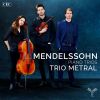 Download track Piano Trio No. 2, Op. 66: IV. Finale. Allegro Appassionato