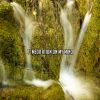 Download track Calm With Yoga