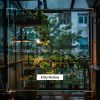 Download track Soothing Showers And Sonnets