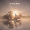Download track Erfreut Euch, Ihr Herzen, BWV 66: V. Ich Furchte Zwar / Nicht Des Grabes Finsternissen