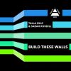 Download track Build These Walls (Original Mix)