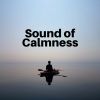 Download track Razor-Sharp Ambient