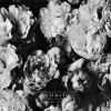 Download track Remember