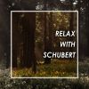 Download track Schubert: An Die Musik, D. 547
