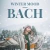 Download track Brandenburg Concerto No. 3 In G Major, BWV 1048: I. Allegro